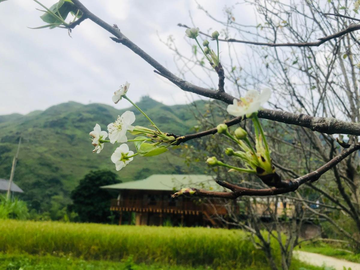 Du Già Village Homestay Làng Cac Esterno foto