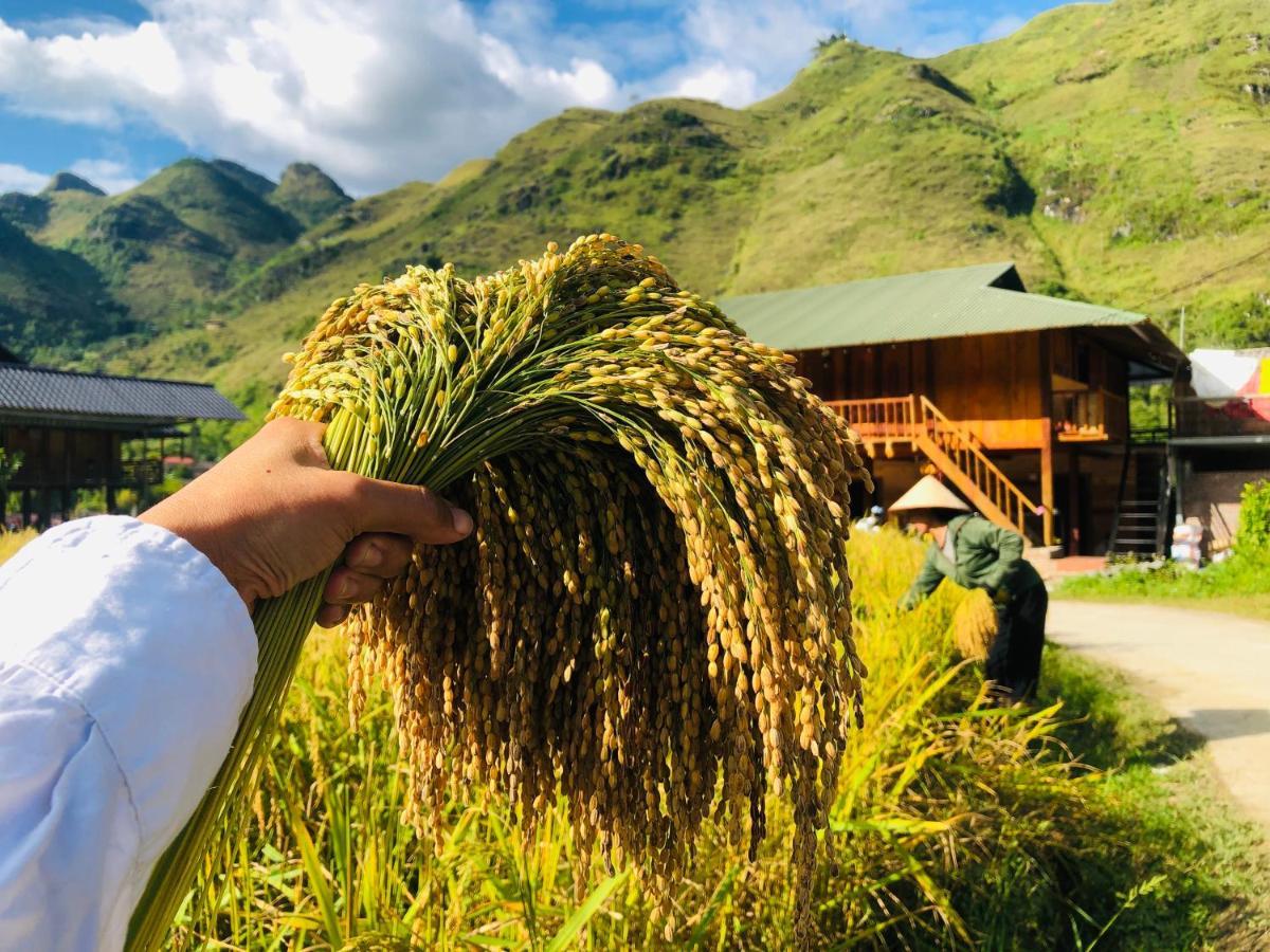 Du Già Village Homestay Làng Cac Esterno foto